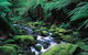 Lorne Getaways - thumb 1