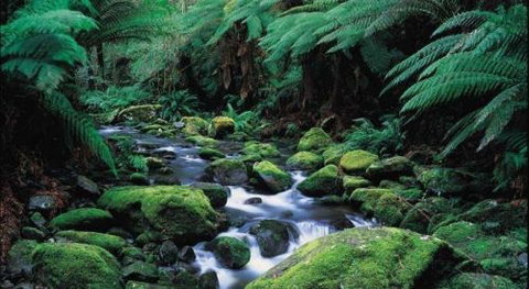 Lorne Getaways - Accommodation in Brisbane 1