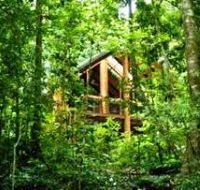 Fur'N'Feathers Rainforest Tree Houses - Accommodation in Brisbane