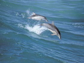 Seachange - Accommodation in Brisbane 0