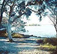 The Cove - Accommodation in Brisbane
