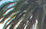 Coogee Bay Hotel - Boutique - thumb 46
