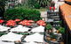 Coogee Bay Hotel - Boutique - thumb 57