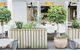 Coogee Bay Hotel - Boutique - thumb 73