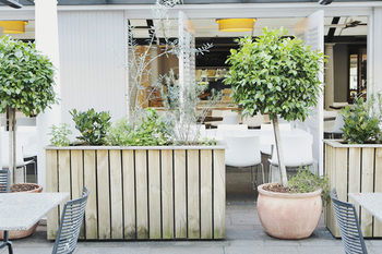 Coogee Bay Hotel - Boutique - Accommodation in Brisbane 73