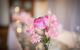 Coogee Bay Hotel - Boutique - thumb 86