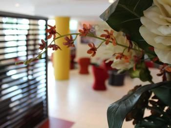 Ibis Newcastle - Accommodation in Brisbane 24