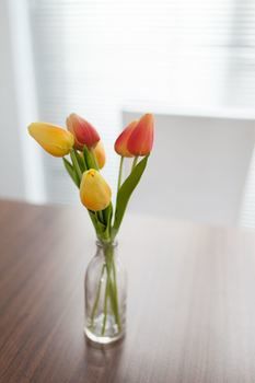 Easystay Apartments Raglan Street - Accommodation in Brisbane 11