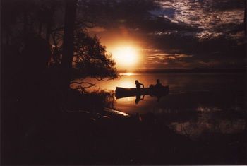 Lake Weyba Cottages Noosa - Accommodation in Brisbane 12