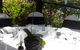 Lake Weyba Cottages Noosa - thumb 13