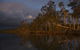 Lake Weyba Cottages Noosa - thumb 27
