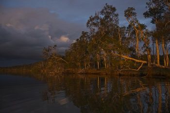 Lake Weyba Cottages Noosa - Accommodation in Brisbane 27