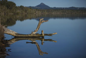 Lake Weyba Cottages Noosa - Accommodation in Brisbane 28