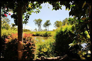 Lake Weyba Cottages Noosa - Accommodation in Brisbane 36