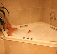 Lavender House BampB - Accommodation in Brisbane