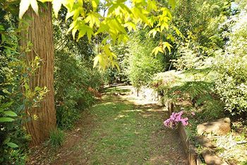 Holly Lodge - Accommodation in Brisbane 4