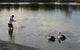Maroochy River Resort & Bungalows - thumb 6