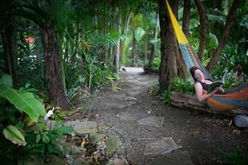 Noosa Valley Manor B&B Retreat - Accommodation in Brisbane 4