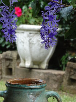 Noosa Valley Manor B&B Retreat - Accommodation in Brisbane 31