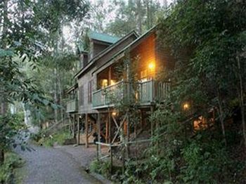 Barrington Wilderness Cedar Lodge Accommodation - Accommodation in Brisbane 3