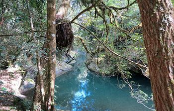 Barrington Wilderness Cedar Lodge Accommodation - Accommodation in Brisbane 8