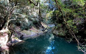 Barrington Wilderness Cedar Lodge Accommodation - Accommodation in Brisbane 11