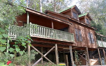 Barrington Wilderness Cedar Lodge Accommodation - Accommodation in Brisbane 12