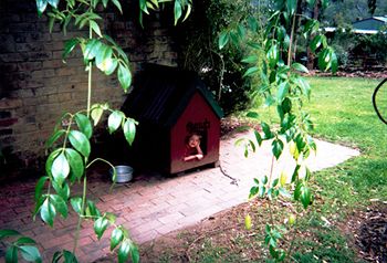 Kurrajong Trails And Cottages - Accommodation in Brisbane 2