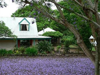 The African Cottage - Accommodation in Brisbane 6