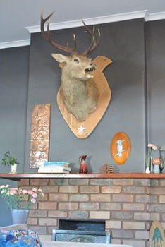 Vine Valley Inn - Accommodation in Brisbane 49