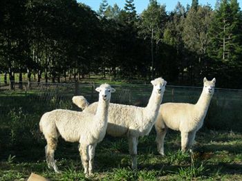 Beerwah QLD Accommodation in Brisbane