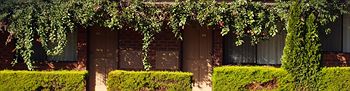 Nunawading Motor Inn - Accommodation in Brisbane 30