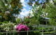 Brentwood Accommodation - thumb 9