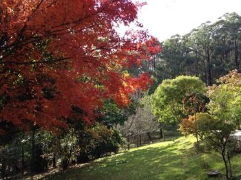 Brentwood Accommodation - Accommodation in Brisbane 43