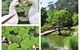 Brentwood Accommodation - thumb 65