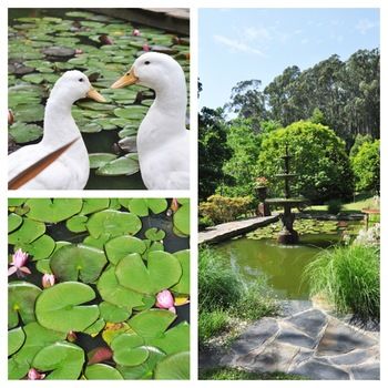 Brentwood Accommodation - Accommodation in Brisbane 65