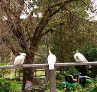 Australian Home Away  Wonga Park Brushy Creek - Accommodation in Brisbane