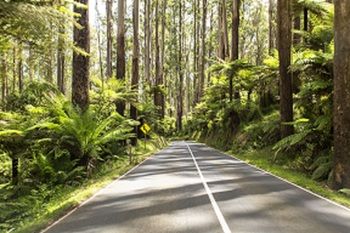Vibe Hotel Marysville - Accommodation in Brisbane 19