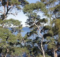 The Edgewater Bed amp Breakfast - Accommodation in Brisbane