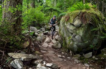 Mountain Element Retreats - Accommodation in Brisbane 9