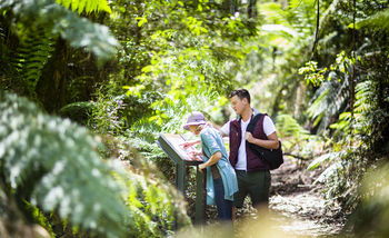 Mountain Element Retreats - Accommodation in Brisbane 10