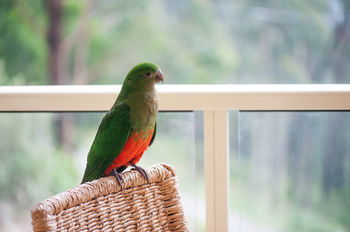 Mountain Element Retreats - Accommodation in Brisbane 13