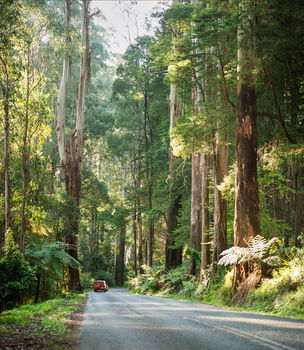 Mountain Element Retreats - Accommodation in Brisbane 15
