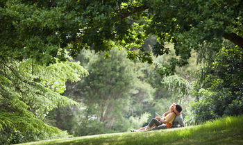 Mountain Element Retreats - Accommodation in Brisbane 16