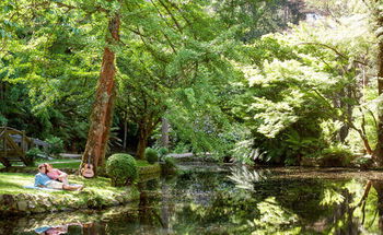 Mountain Element Retreats - Accommodation in Brisbane 17