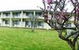 The Tumut Motor Inn - thumb 13