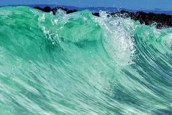 Bella Villas Of Jervis Bay - Accommodation in Brisbane 10