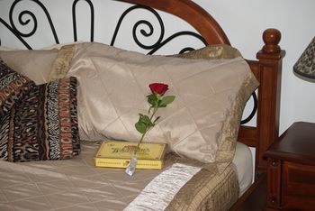 Kingfishers Manor @ Noosa - Accommodation in Brisbane 16