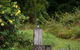 Kingfishers Manor @ Noosa - thumb 32