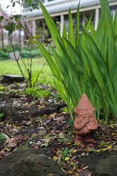 Holly Lane Mews - Accommodation in Brisbane 4